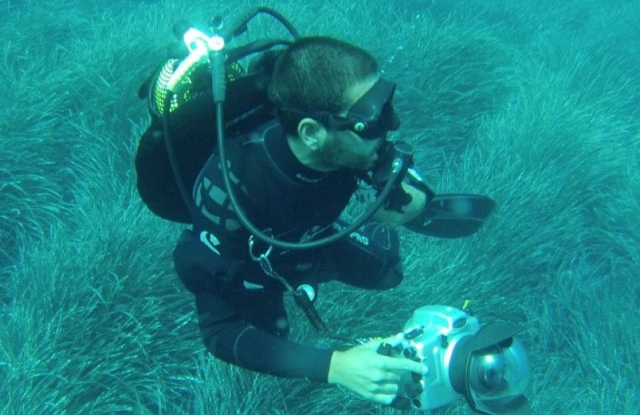 Captando imagenes submarinas
